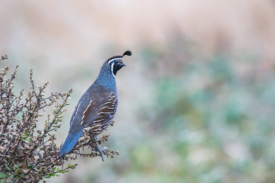 油塘迷你倉：靈活收納解決方案分享