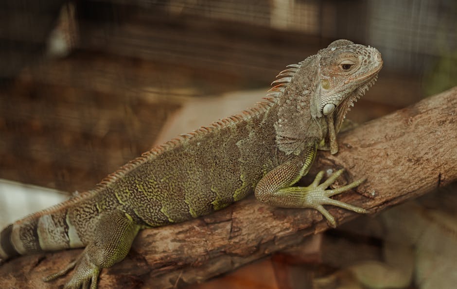 皮秒激光凹凸洞：技術原理與治療效果分析